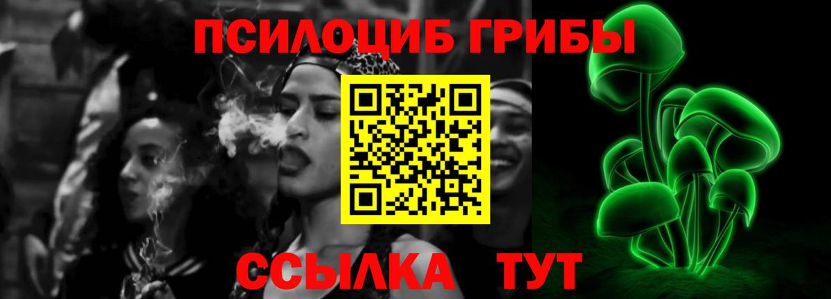 Галлюциногенные грибы Psilocybe Жигулёвск