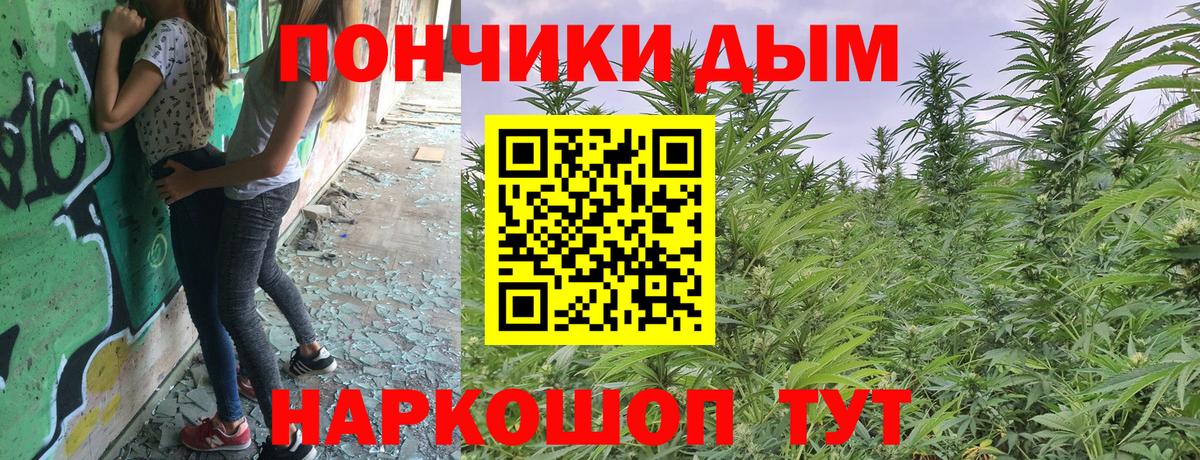 Марихуана сатива Жигулёвск